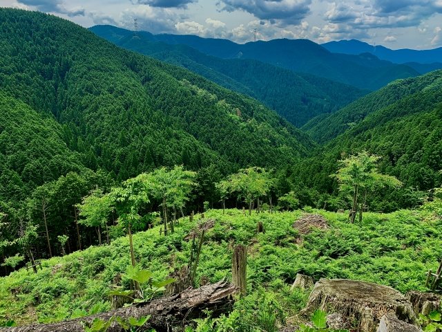 人生の最期が、未来の森を育てるきっかけに